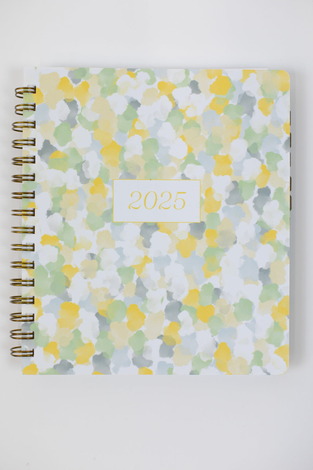 Bundle: 2025 Splash of Color Planner + Notepad