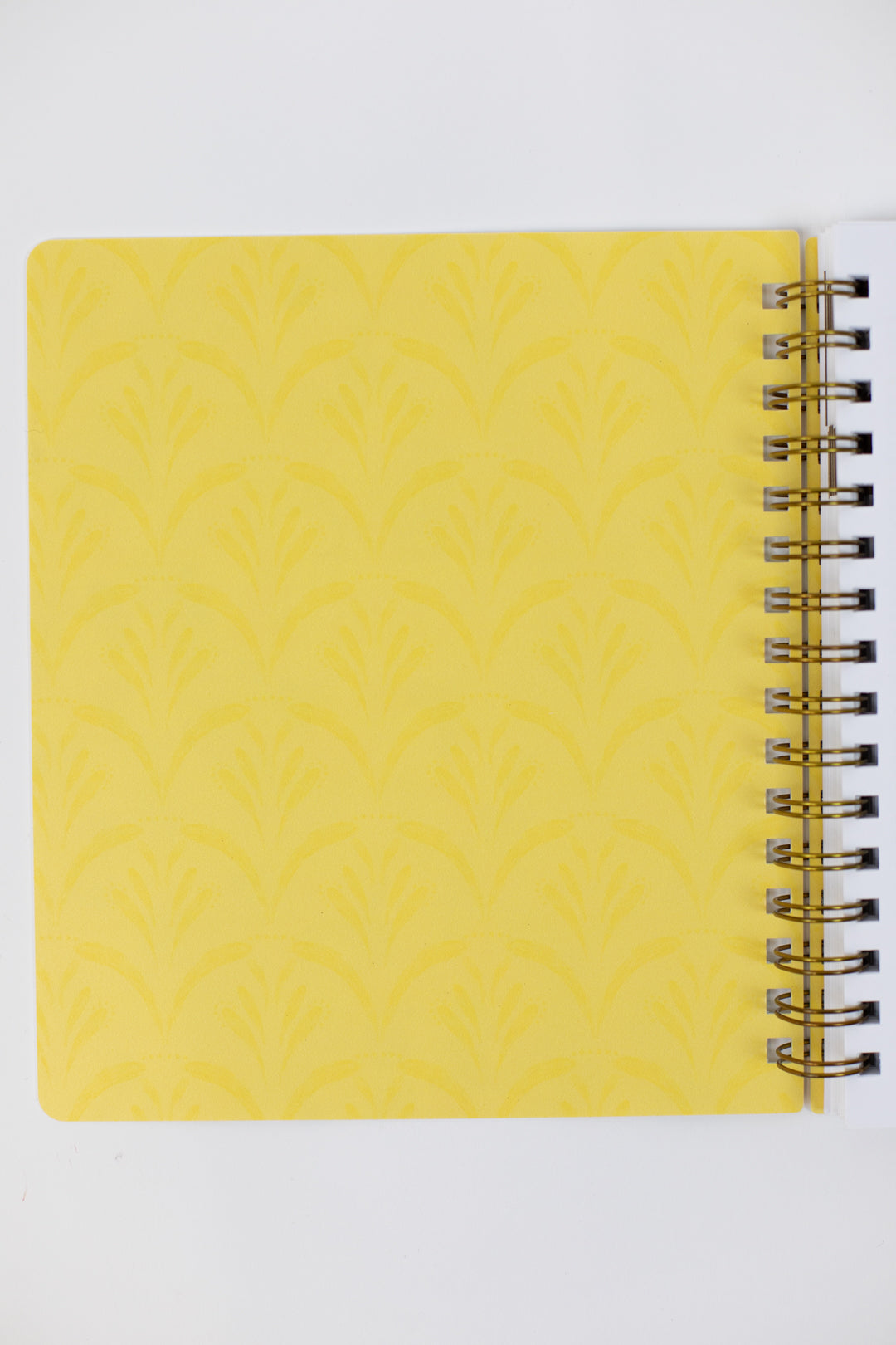 2025 Life + Style Weekly Planner: Splash of Color