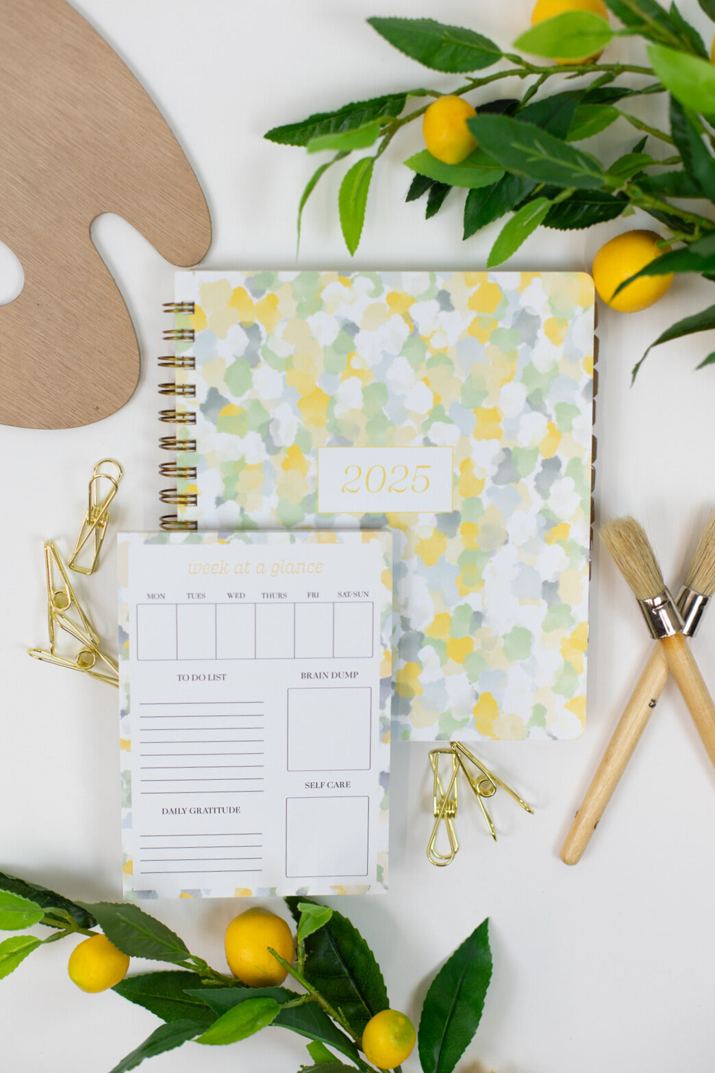 Bundle: 2025 Splash of Color Planner + Notepad